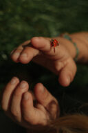 une coccinelle sur le doigt d'un garçon