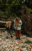 Cheveux d'enfant et arbre déraciné