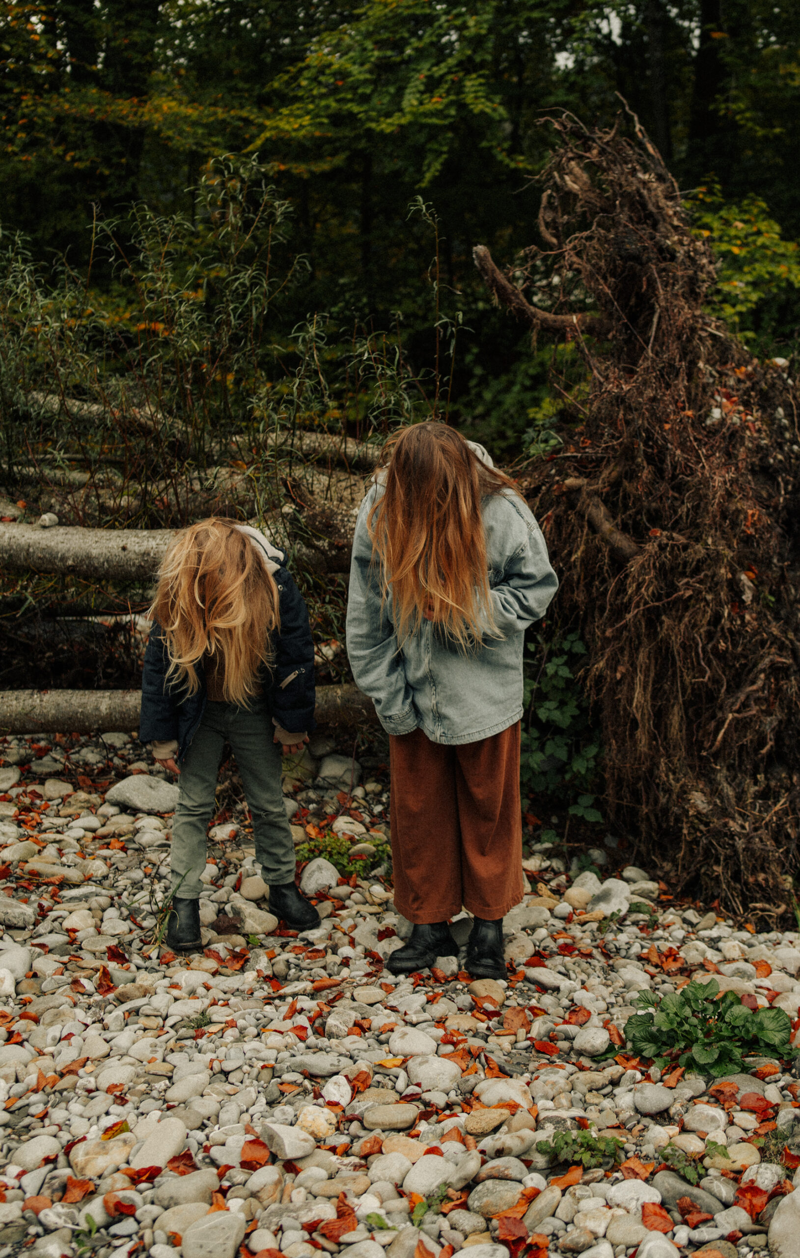 Cheveux d'enfant et arbre d&eacute;racin&eacute;