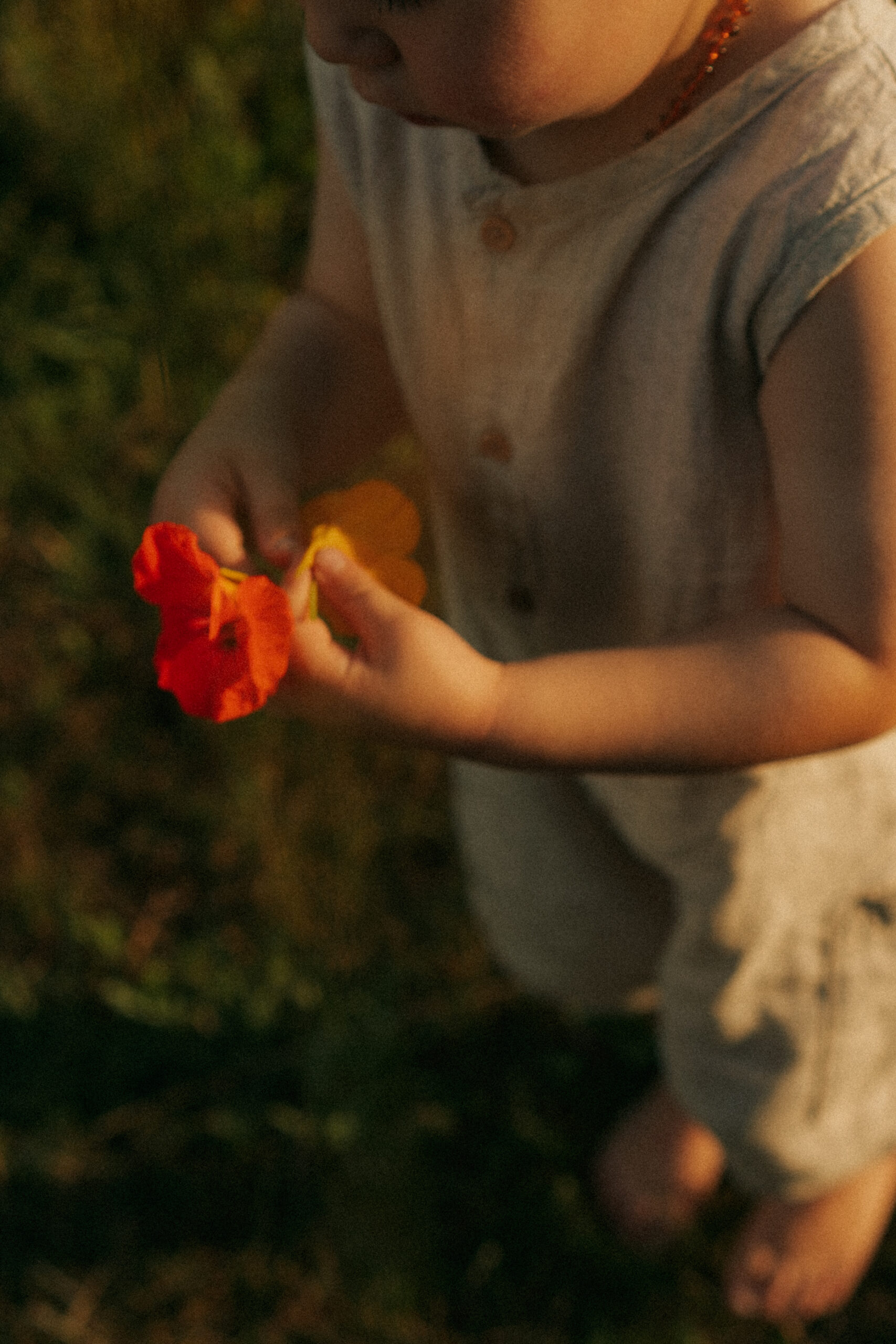 Jeune enfant joue avec une fleur