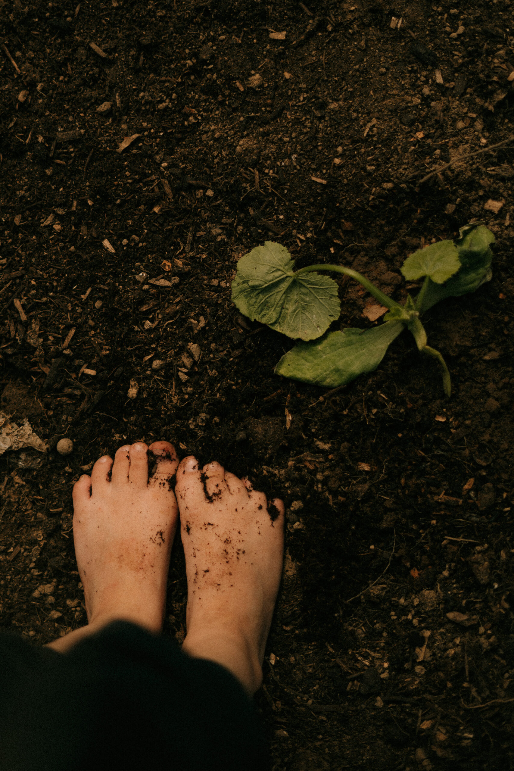 Pieds dans la terre du jardin